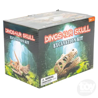 6.5" Dinosaur Skull Excavation Dig Kit Triceratops