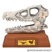 6.5" Dinosaur Skull Excavation Dig Kit Velociraptor