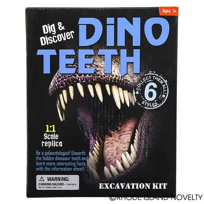 Dinosaur Teeth Excavation Kit