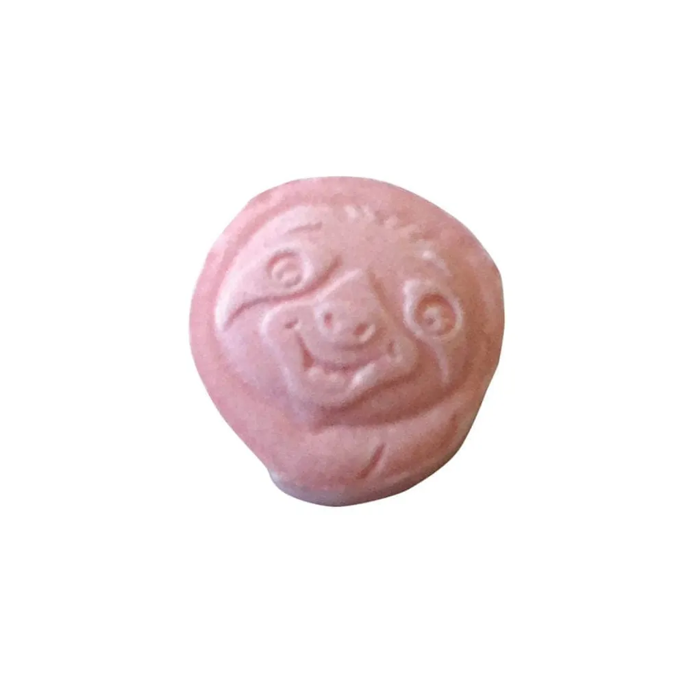 Sloth Spirit Animal Sour Strawberry Candy Tin