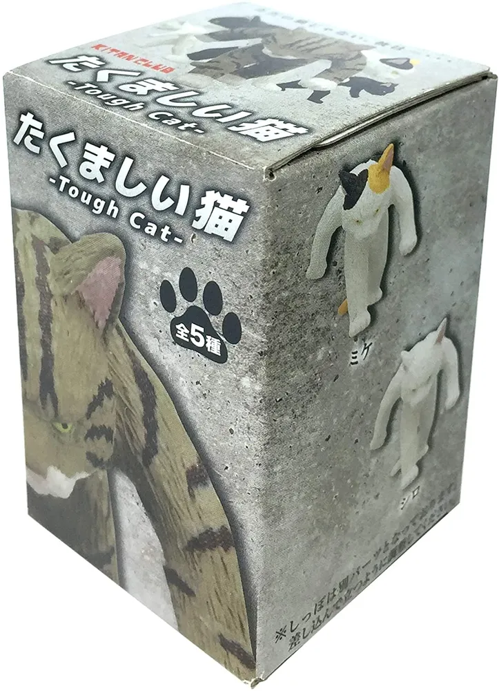 Kitan Club - Skateboarding Dog Blind Box Assorted Styles