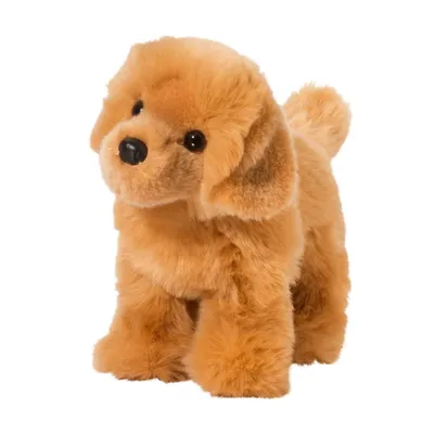 Chap Golden Retriever 10"