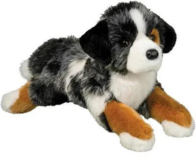 DLux - Maizie Australian Shepard