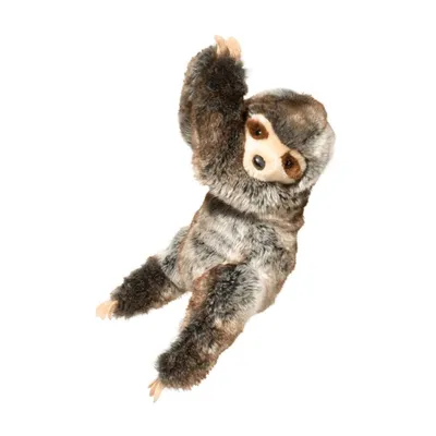 Ivy Hanging Sloth