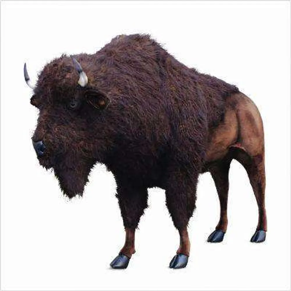 Hansa Plush Buffalo Lifesize 96''L x 72"H