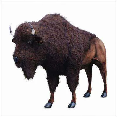 Hansa Plush Buffalo Lifesize 96''L x 72"H