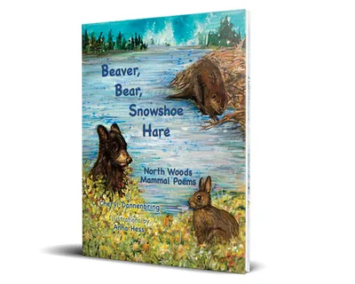 Beaver, Bear, Snowshoe Hare