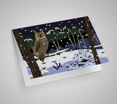 Owl in Snow Blank Card