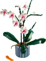 Botanical Collection Orchid