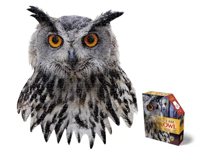 I am Owl - 550 Piece Puzzle