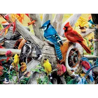 Audubon - Backyard Birds - 1000pc Puzzle