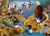 Audubon - Lake Life - 1,000 Piece Puzzle