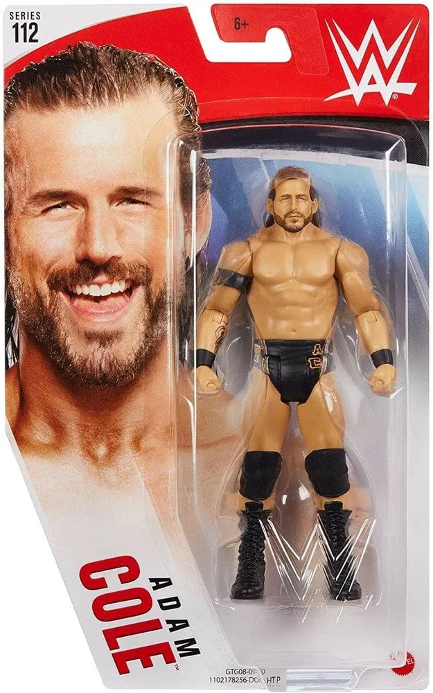 WWE Basic Action Figure Approx 6"