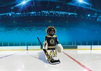 NHL - Boston Bruins Goalie
