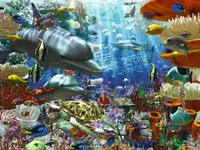 Oceanic Wonders - 3,000 Piece Puzzle