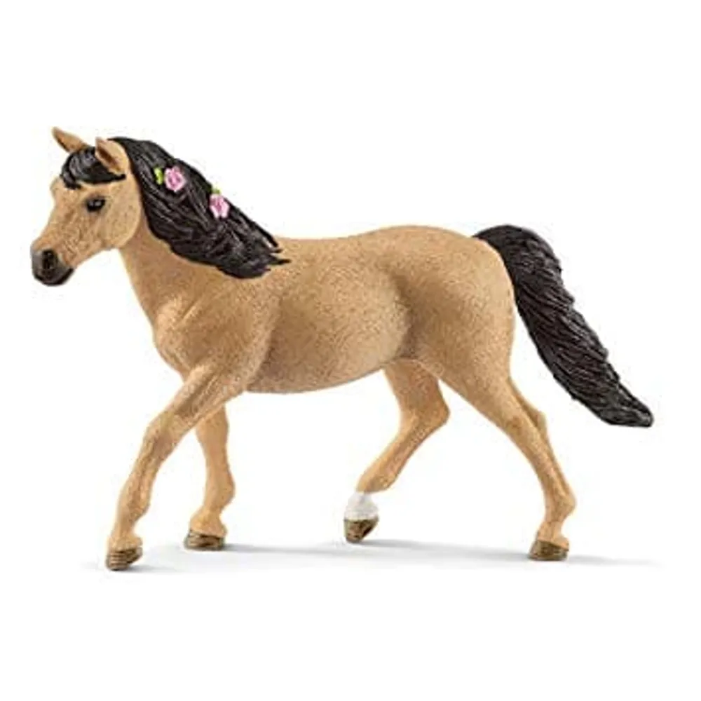 Connemara Pony Mare