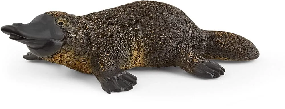 Platypus