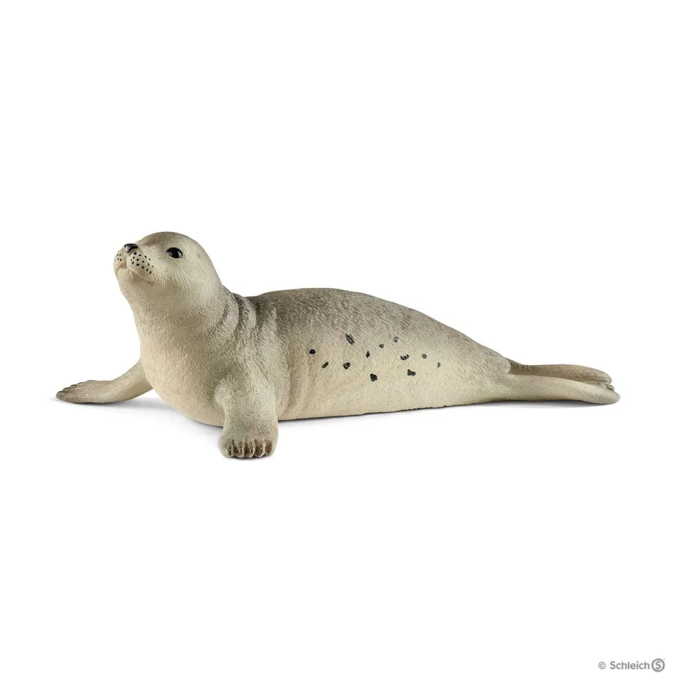 Seal