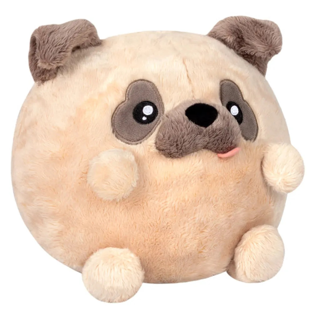 Undercover Squishables - 7" Pug in Witch