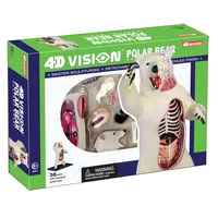 4D Polar Bear Model