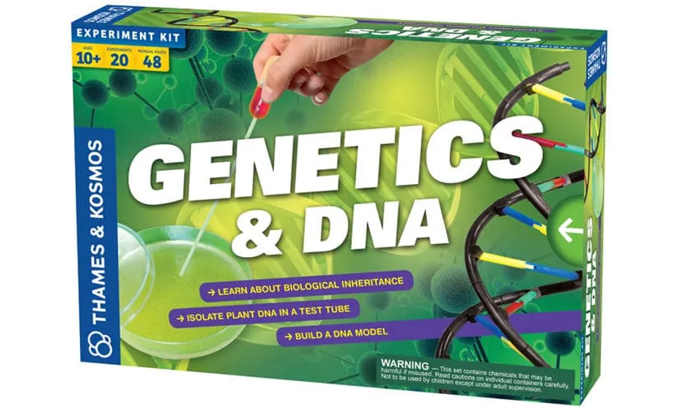 Genetics & DNA