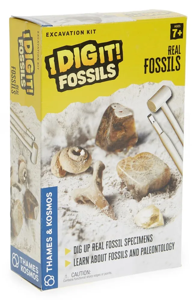 I Dig It! Fossils - Real Fossils Excavation Kit