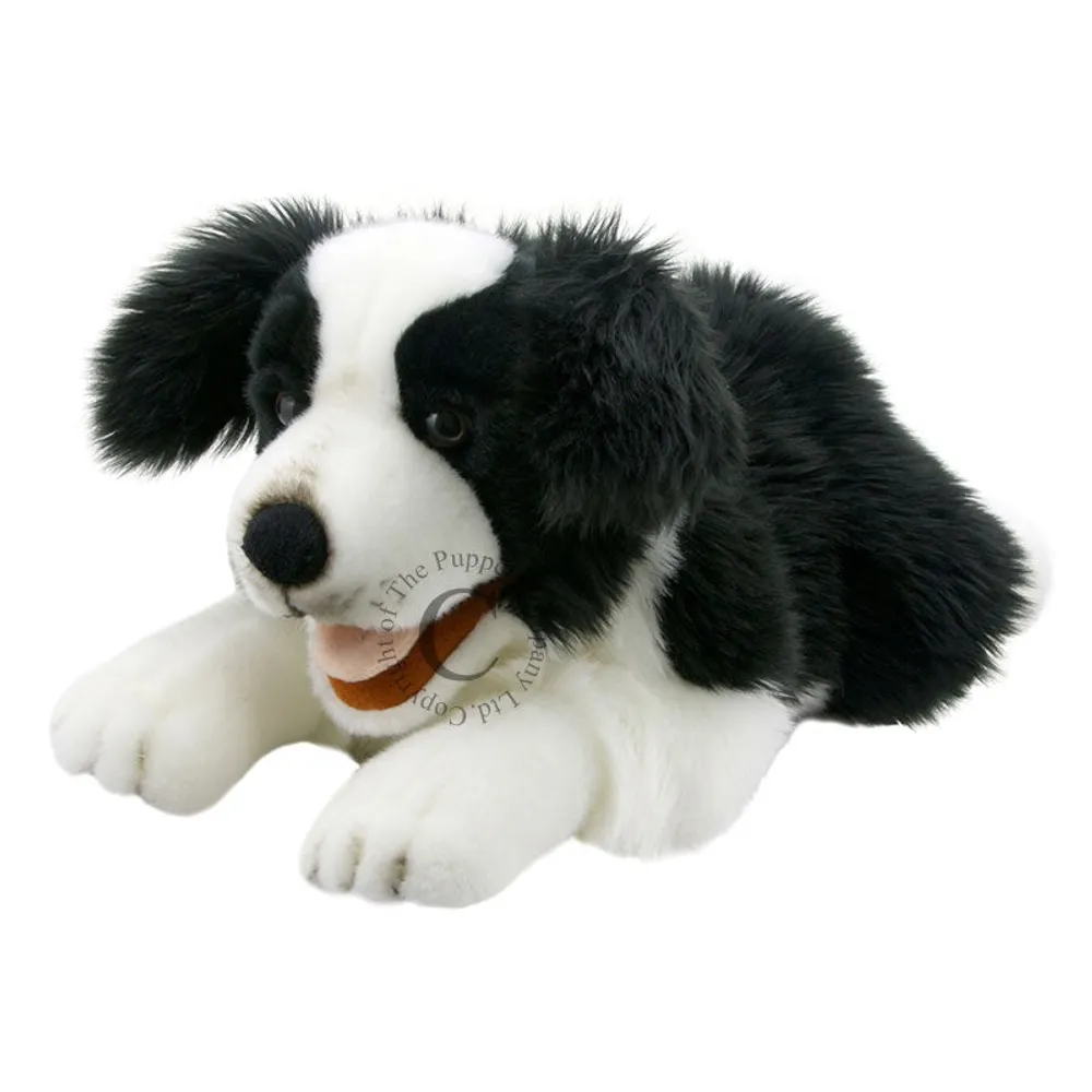 Full Bodied Puppet - Playful Puppy Border Collie