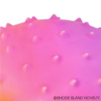 5" Rainbow Knobby Ball