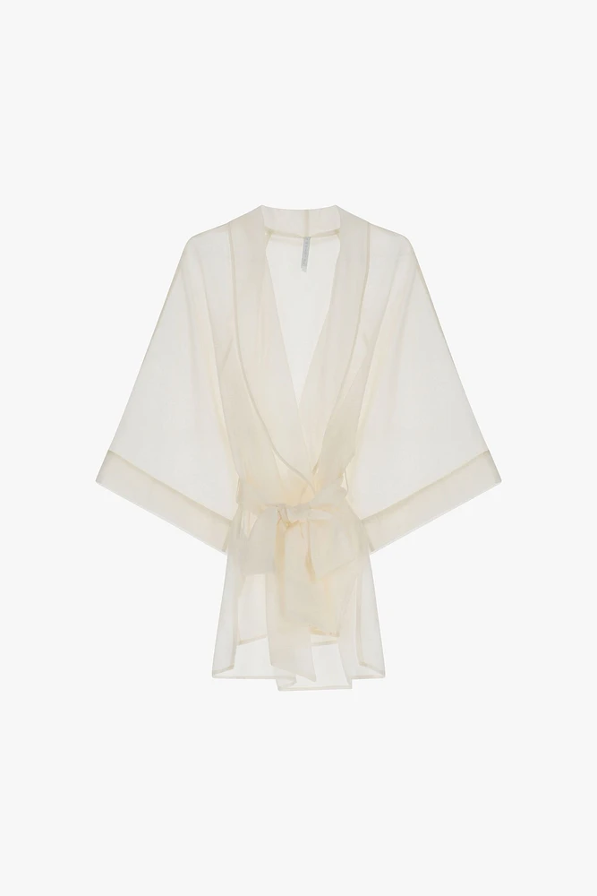 Sheer Belted Blouse