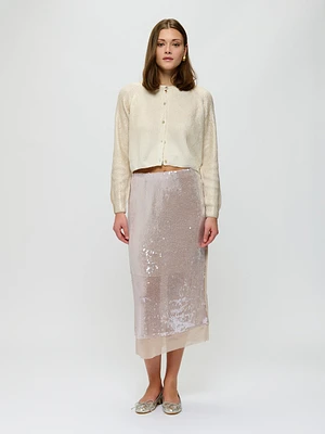 Sheer Trim Sequin Skirt