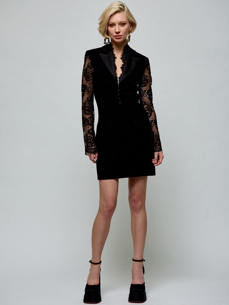 Adjusted Lace Sleeves Dress