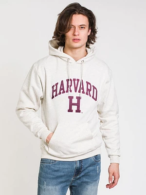 Champion Eco Powerblend Harvard University Hoodie