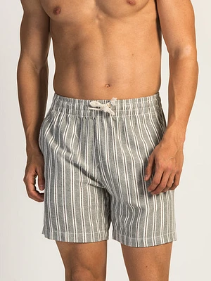 Island Haze Stripe Woven Short