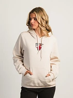 Nba Chicago Bulls Gradient Embroidered Hoodie