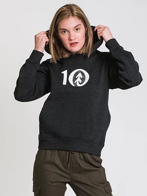 Tentree Aspect Logo Boyfriend Pullover Hoodie - Clearance