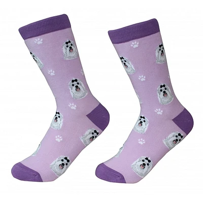 Sock Daddy - Maltese - Purple - Crew - Unisex