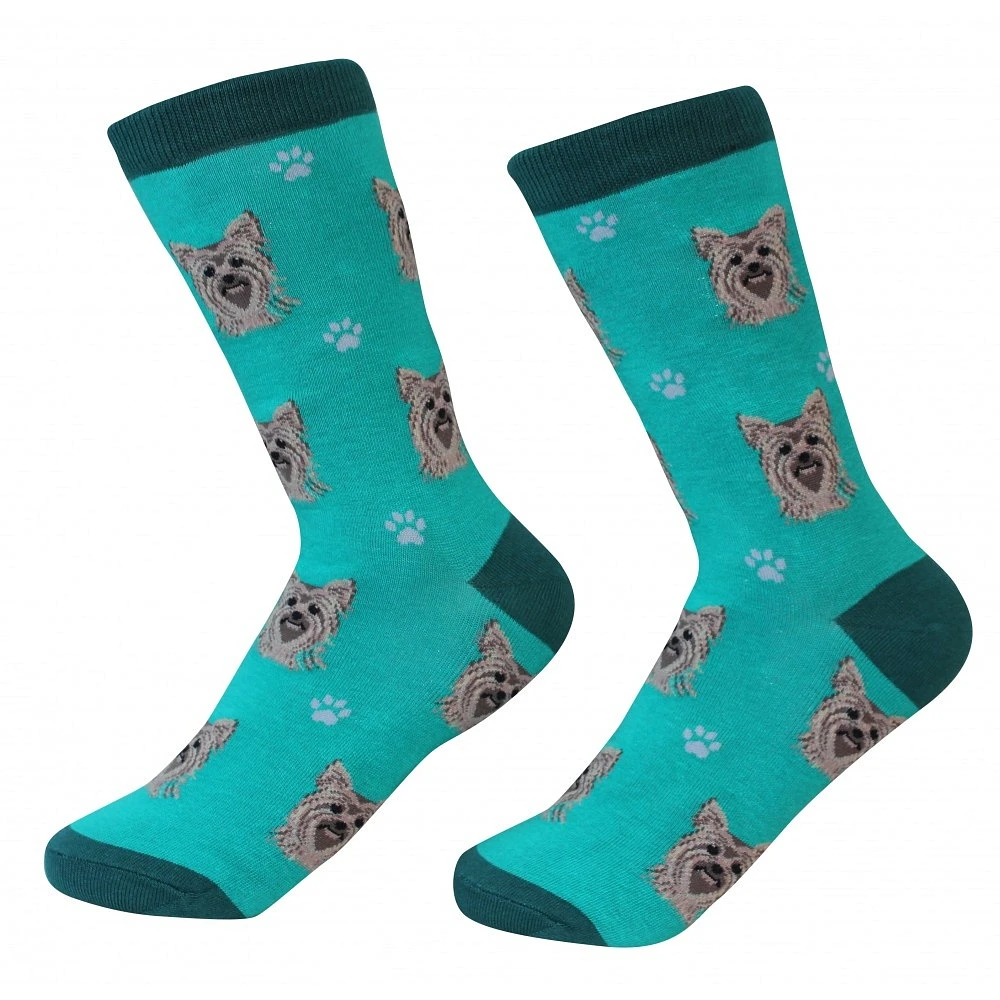 Sock Daddy - Yorkie - Teal - Crew - Unisex