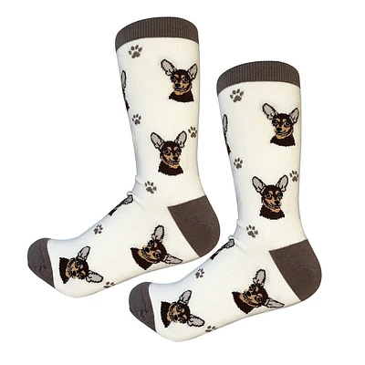 Sock Daddy - Chihuahua - Tan- Crew - Unisex