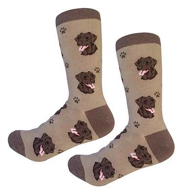 Sock Daddy - Labrador - Chocolate - Crew - Unisex