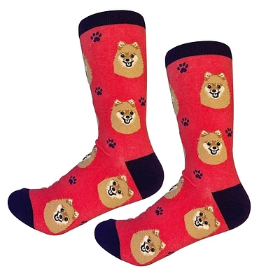 Sock Daddy - Pomeranian - Red - Crew - Unisex