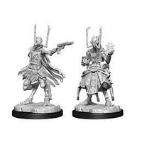 Starfinder Deep Cuts Unpainted Minis - Shirren Technomancer*