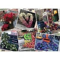 Ravensburger NYC Exposition Florale - 1000 pièces