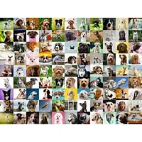 Ravensburger 99 adorables chiens - 750 pièces Large