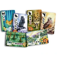 Meadows (Multilingual)