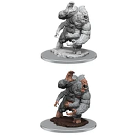 Nolzur's Marvelous Unpainted Miniatures