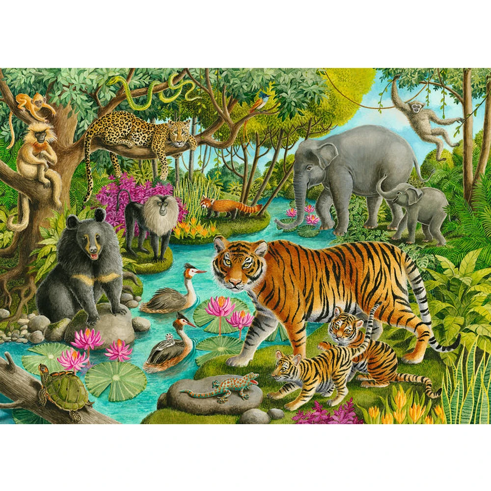 Ravensburger Les animaux de l'Inde - 60 pièces