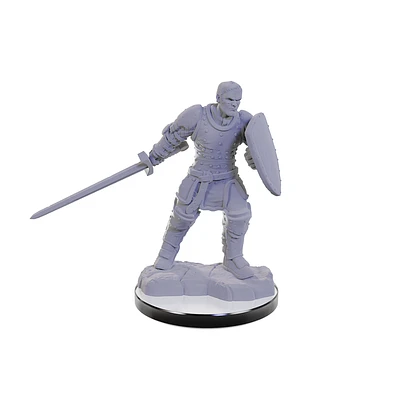 Nolzur's Marvelous Unpainted Miniatures - Reborn Paladin/Warlock*