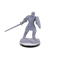 Nolzur's Marvelous Unpainted Miniatures - Reborn Paladin/Warlock*