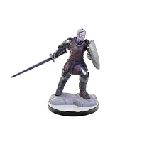 Nolzur's Marvelous Unpainted Miniatures - Reborn Paladin/Warlock*