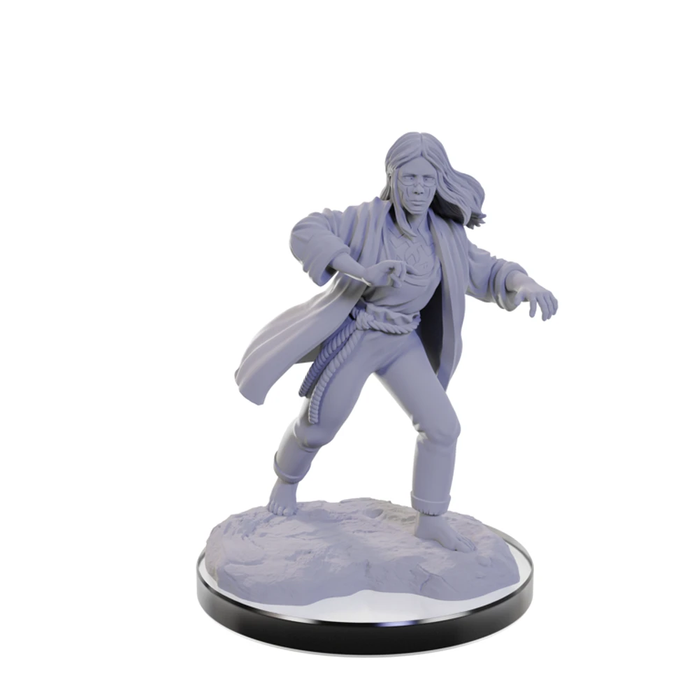 Nolzur's Marvelous Unpainted Miniatures - Reborn Paladin/Warlock*